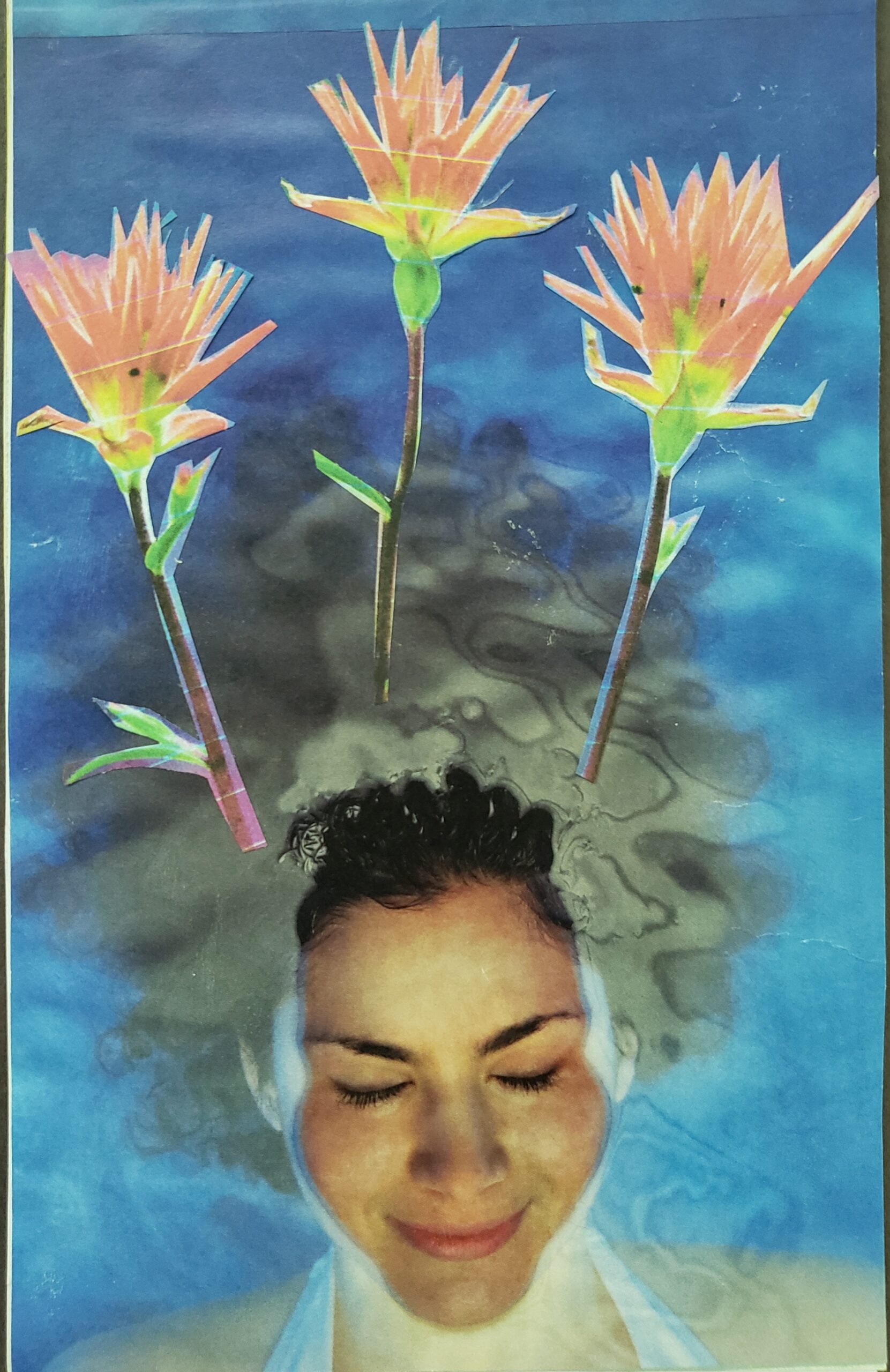 No Mud, No Lotus
